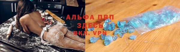 стаф Беломорск
