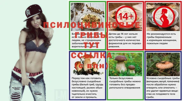 прущие крисы Белоозёрский