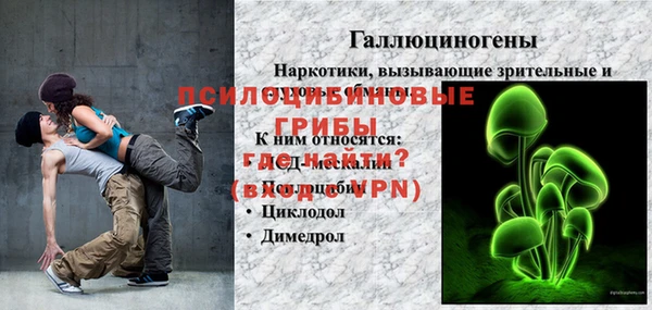 стаф Беломорск