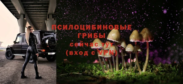 прущие крисы Белоозёрский