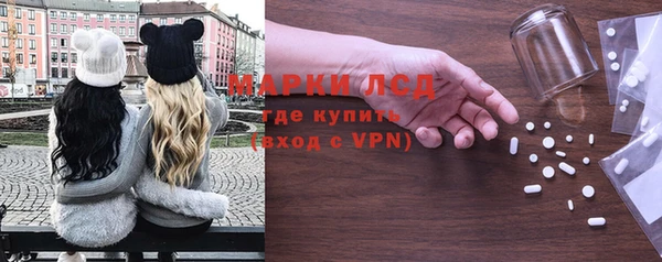 стаф Беломорск