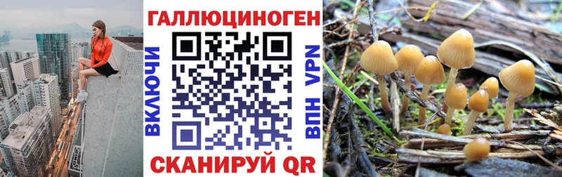 как найти закладки  Волгореченск  MEGA онион  Галлюциногенные грибы Cubensis 